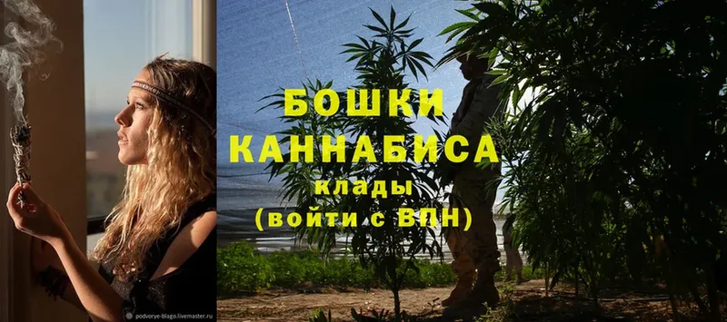 Бошки Шишки SATIVA & INDICA  закладки  Стародуб 